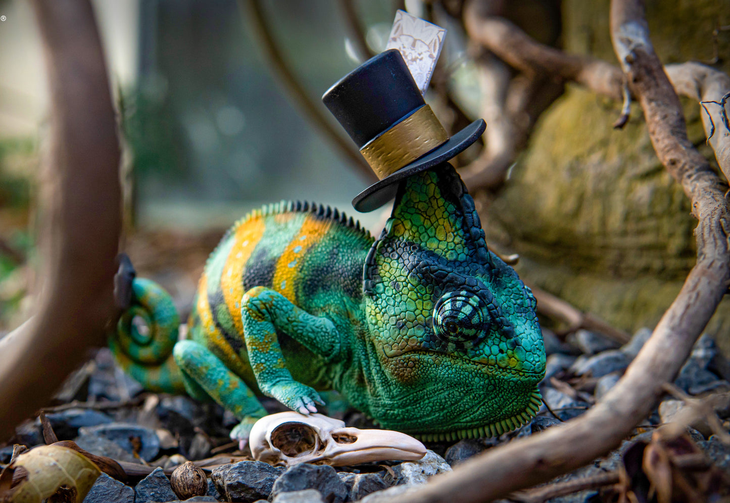 CHAMELEON DAYDREAM SERIES – MOS’s Magician Dream 1:1 Scale Designer Figure-FRDF002-1(Green)