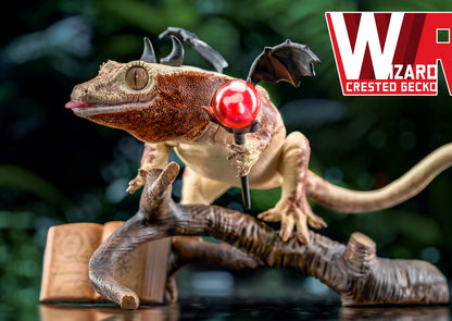 CRESTED GECKO DAYDREAM SERIES – REG’s Wizard Dream 1:1 Scale Designer Figure